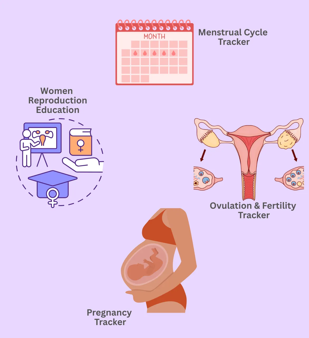 About Ovulae